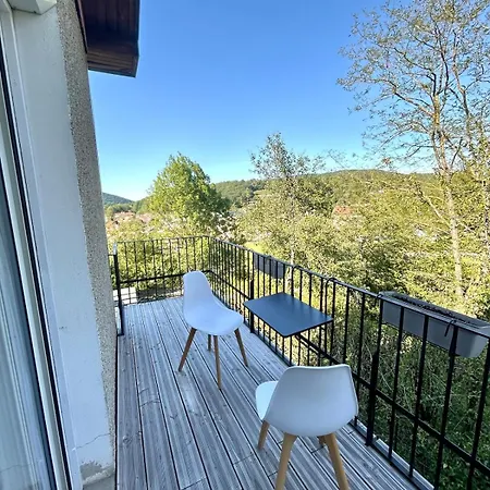 Maison 6 A 8 Personnes, Jardin, Parking Prive Lavelanet